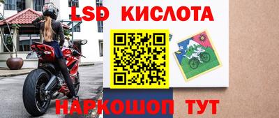 альфа пвп Гусев