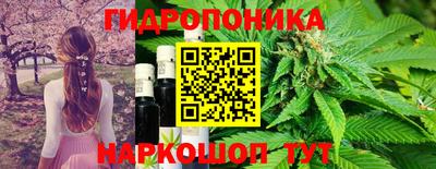 альфа пвп Гусев